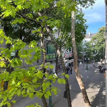 Sea Salt Suite- Daire